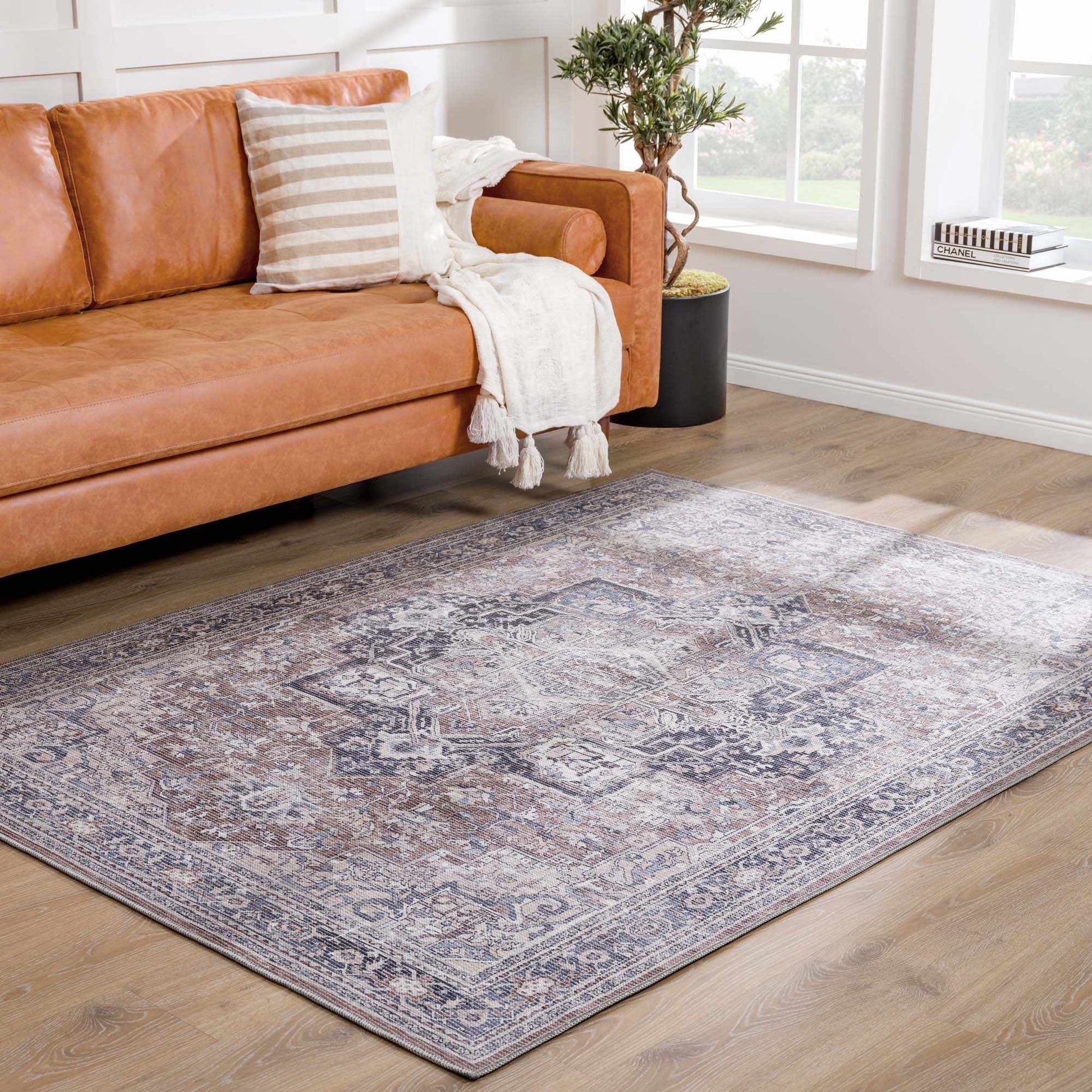 Abner Washable Area Rug - Eva Essentials