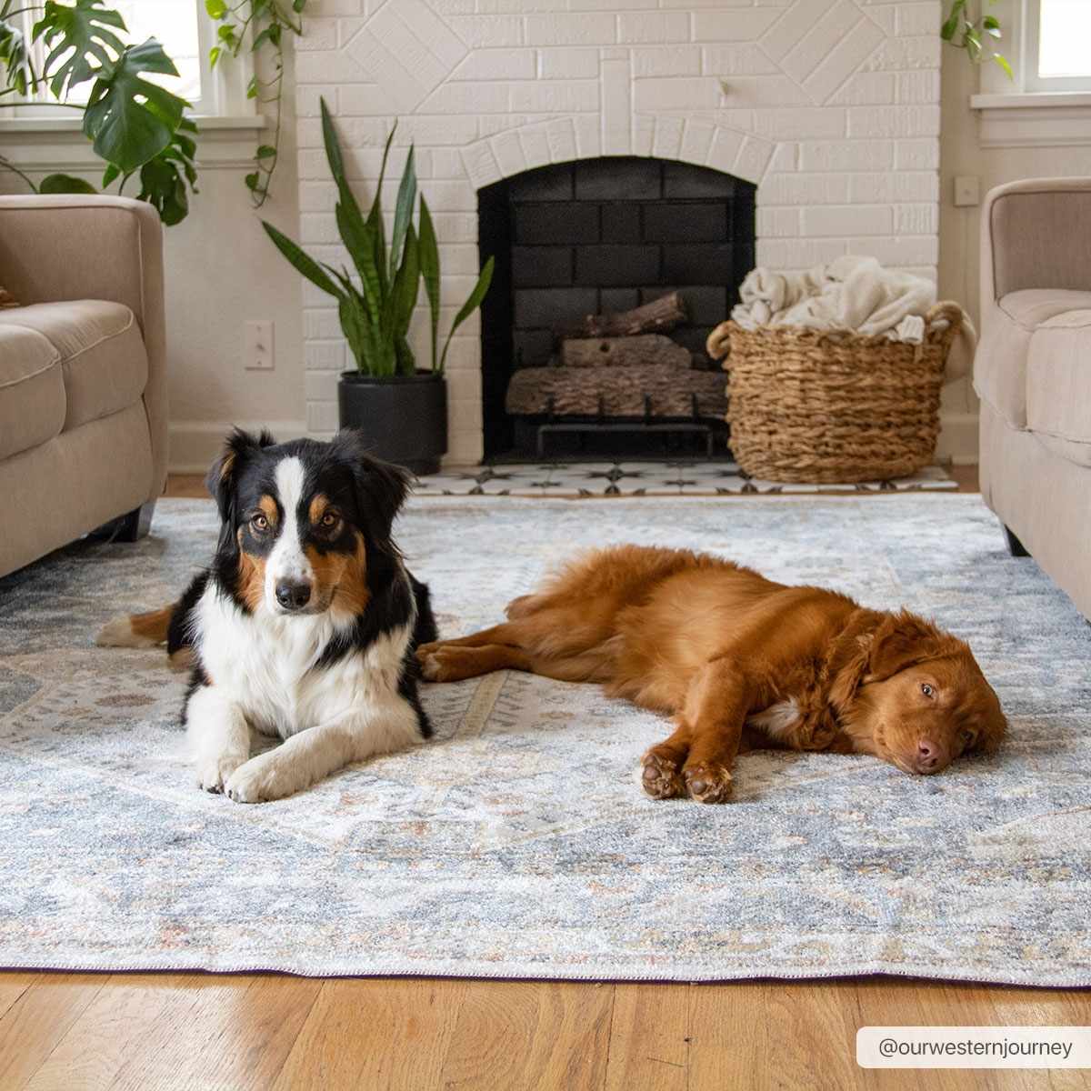 Afya Washable Area Rug - Eva Essentials