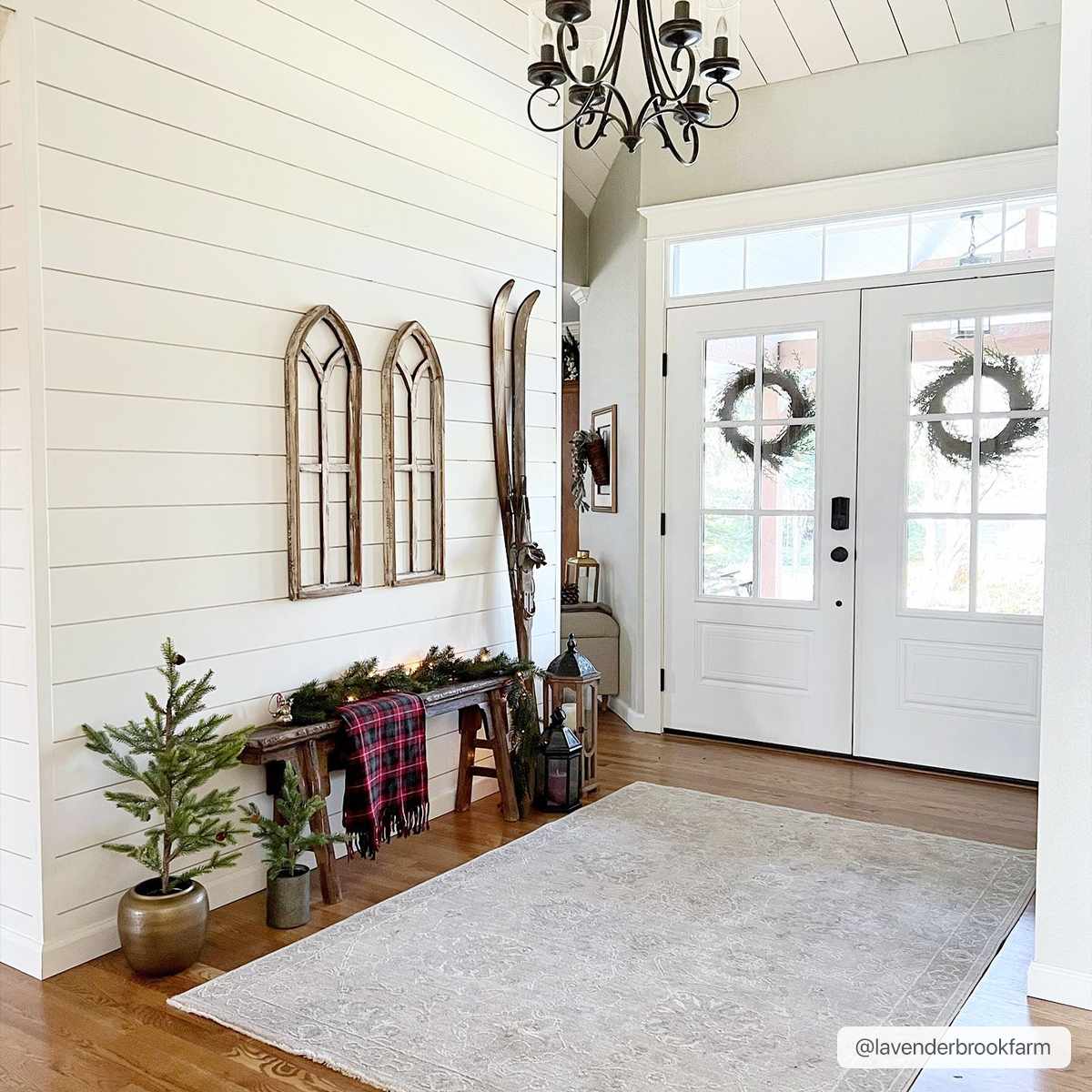 Albuquerque Area Rug - Eva Essentials