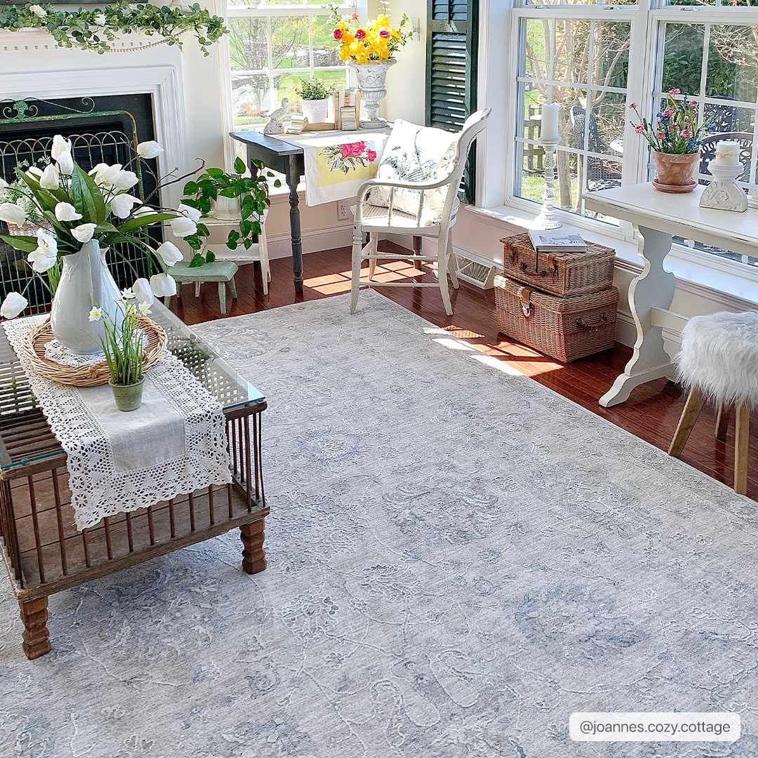 Albuquerque Area Rug - Eva Essentials