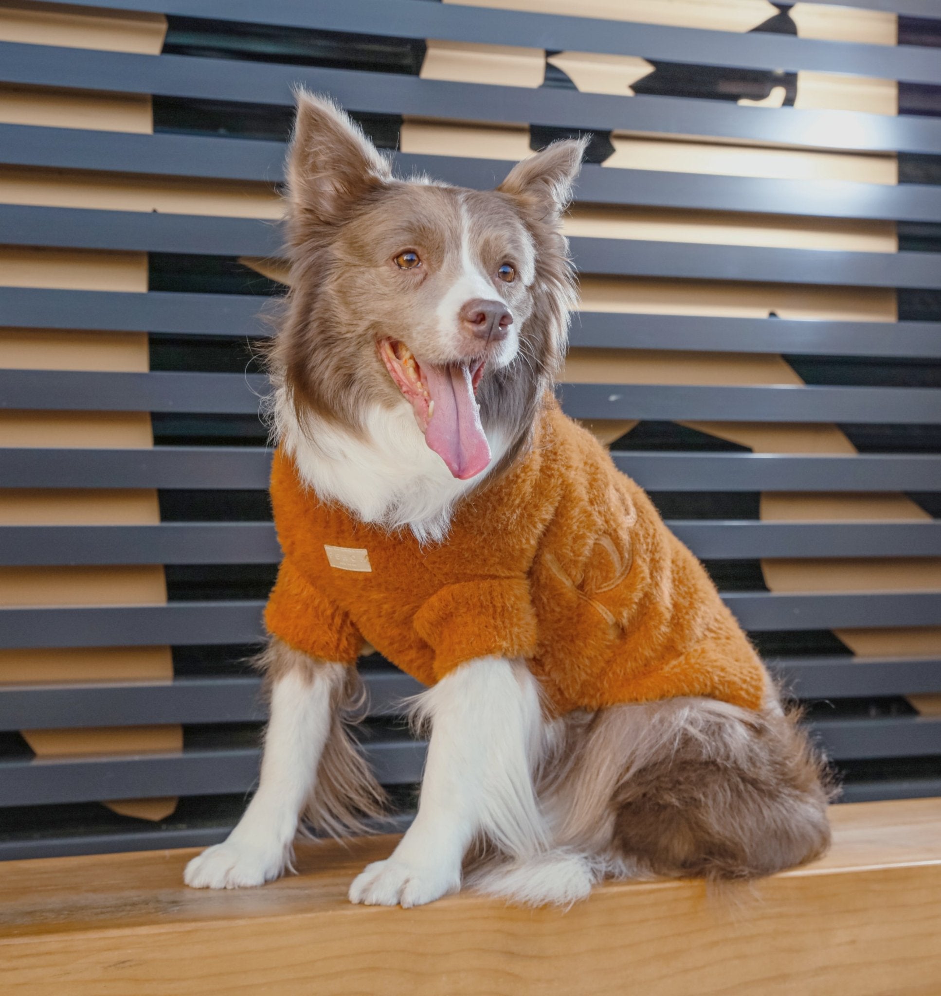 Eskimo Dog Fuzzy Sweater - Orange - Eva Essentials