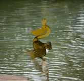 Pelican Glass Figurine - Eva Essentials