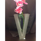 Triangle Clear Glass Vase - Eva Essentials