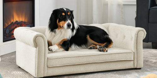 Pet Beds - Eva Essentials