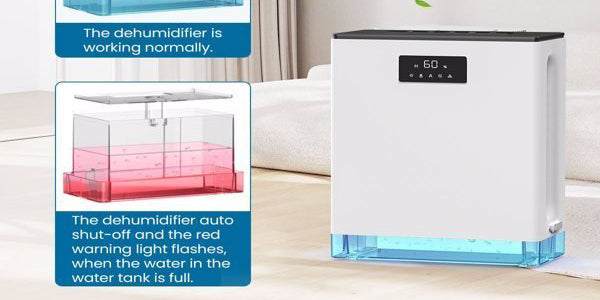 Smart Home Collection - Eva Essentials