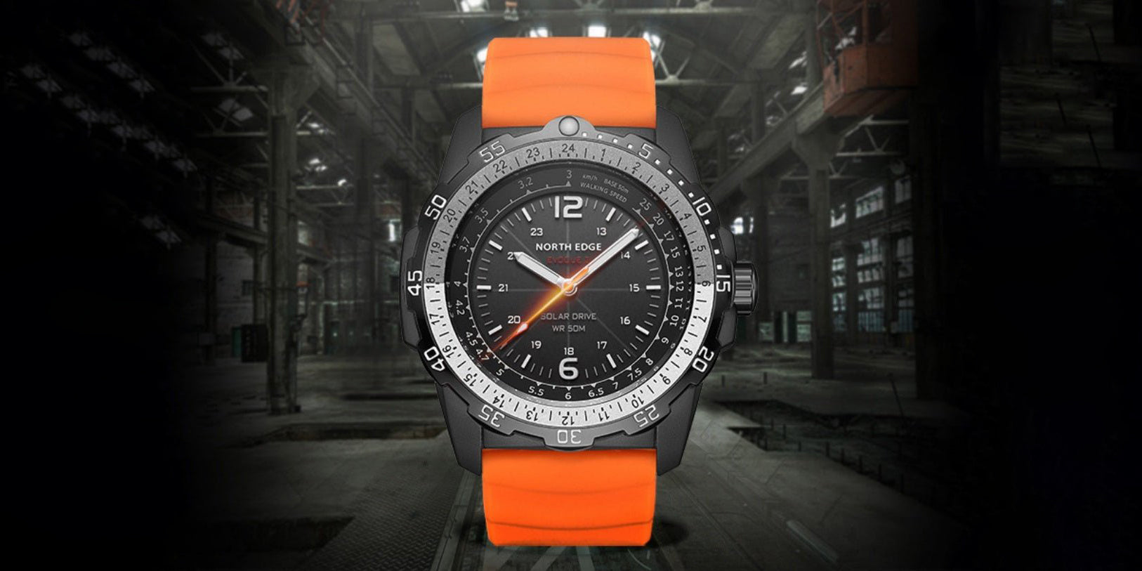 Watch Collection - Eva Essentials