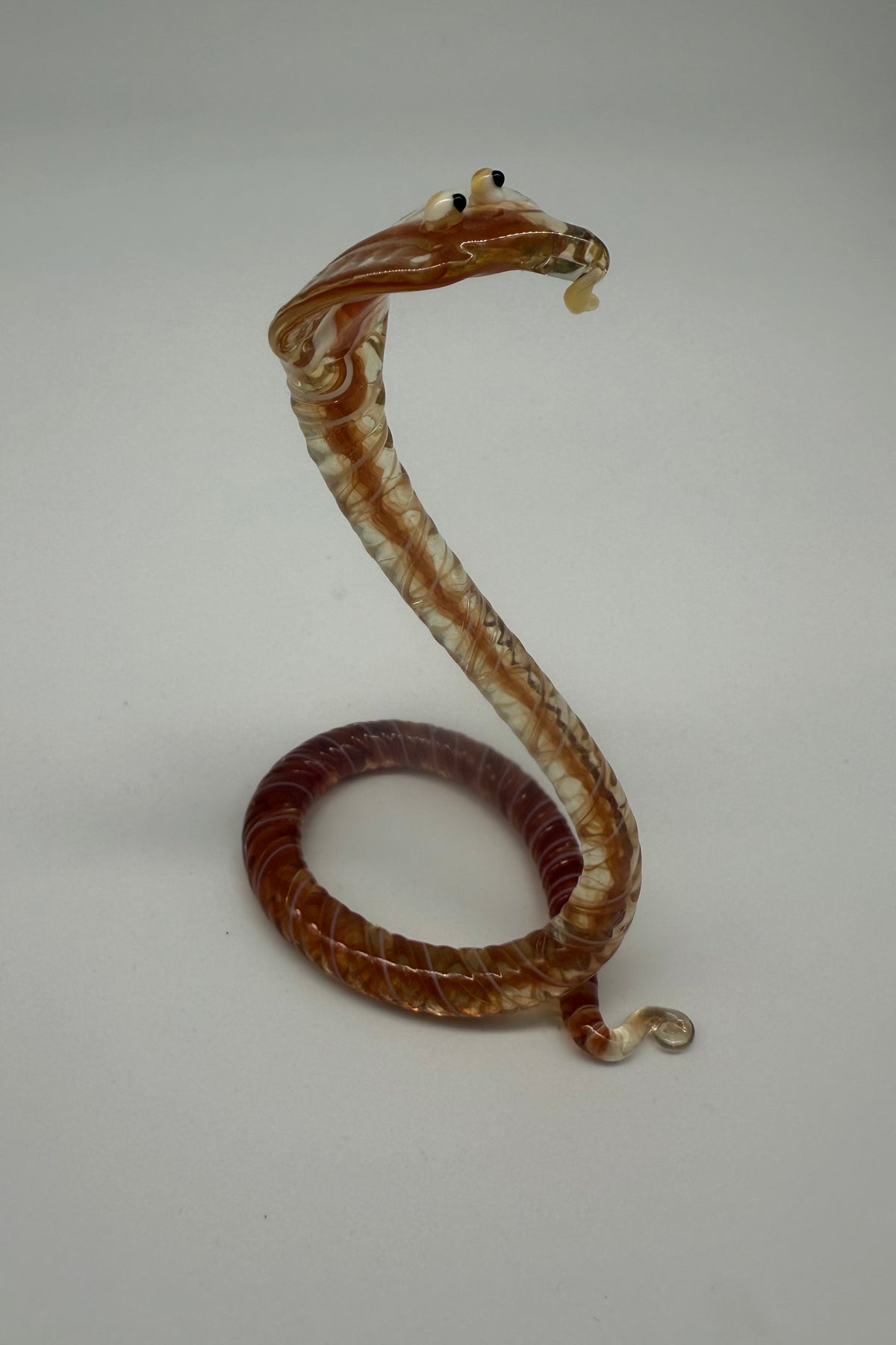 Year of the Snake! Chinese Happy New Year!