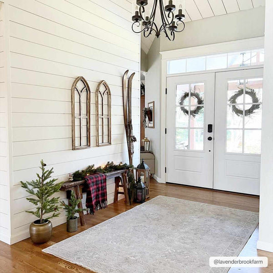 Albuquerque Area Rug - Eva Essentials