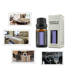 Aromatherapy Essential Oil - Eva Essentials