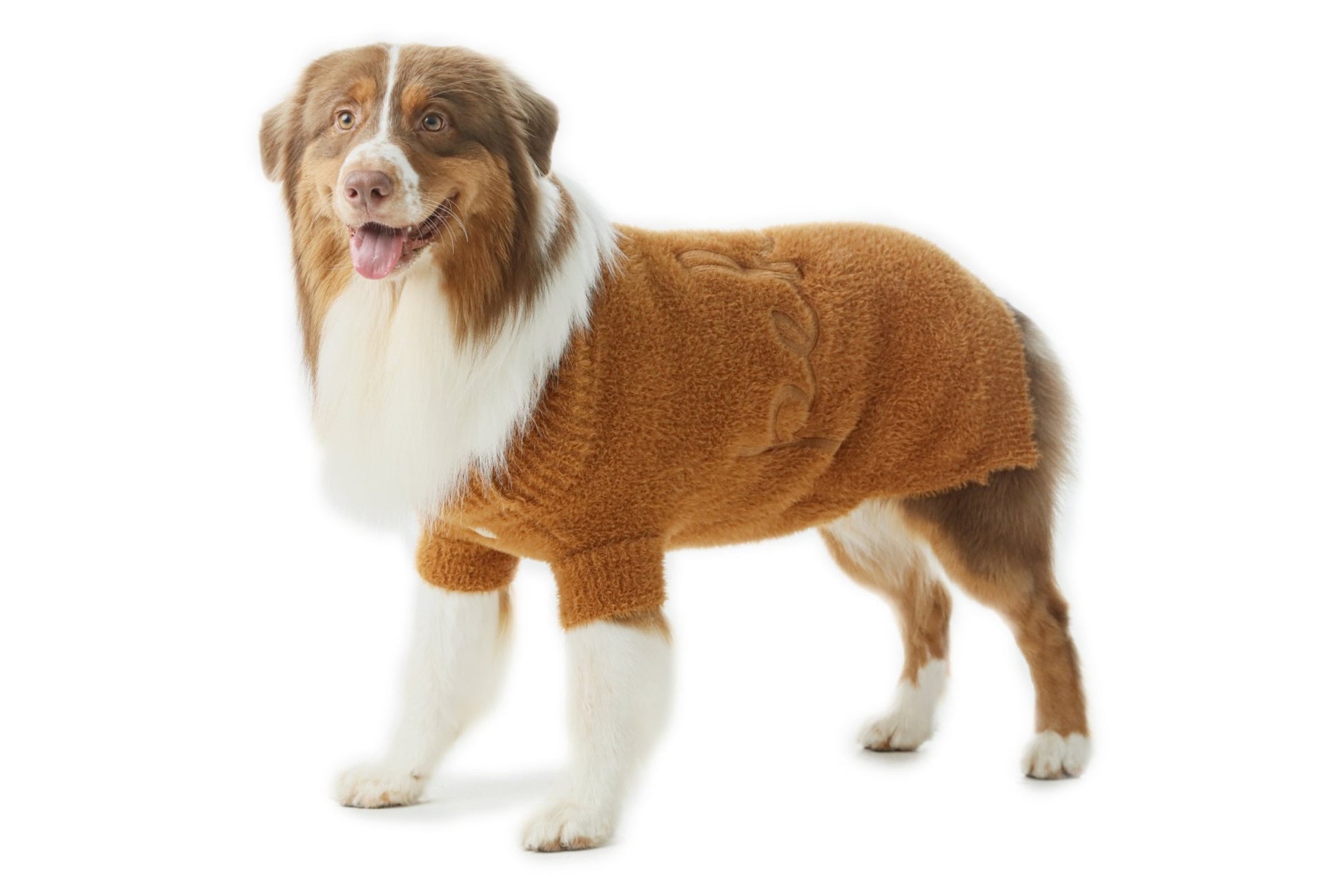 Eskimo Dog Fuzzy Sweater - Orange - Eva Essentials