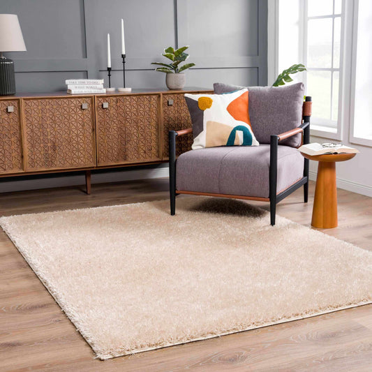 Faina Solid Beige Shag Rug Washable - Eva Essentials