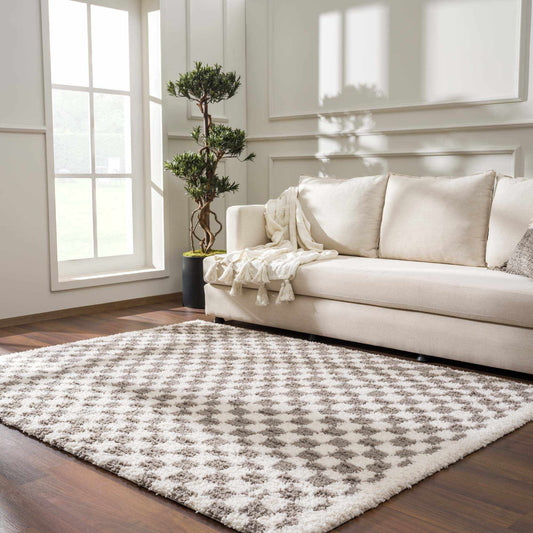 Kieu Taupe Checkered Area Rug - Eva Essentials