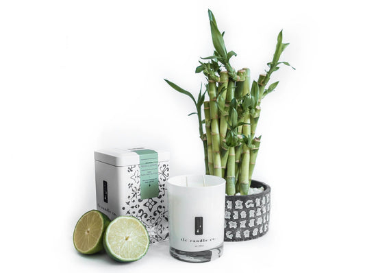 Meditation - Bamboo, Amber and Aloe Soy Candle - Eva Essentials