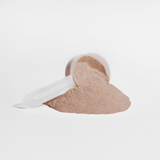 Plant Protein Chocolate Protein Powder - Eva Essentials