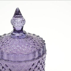 Plush Radiance Scented Wax Candle - Eva Essentials