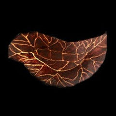 Murano Burgundy Leaf Centerpiece - Eva Essentials