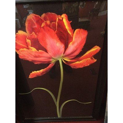 Tulip Fantasy Print in Glass - Eva Essentials